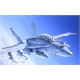 ITALERI AEREO F/A-18 C/D WILD WEASEL 1:72 - IT016