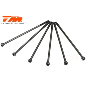 E6 perno a vite in acciaio 3x85mm (6) 126385C