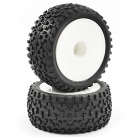 FASTRAX gomme posteriori CUBOID BUGGY 1/10 cerchio Bianco chiuso (2) fast0039