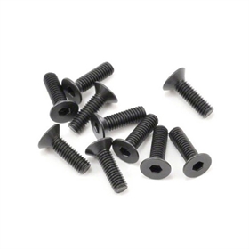 SWorkz Viti M3x10mm FH/ST in acciaio (10) SW108003