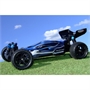 FTX Vantage 1/10 Brushless Buggy 4WD 2.4GHZ RTR (LiPo + Caricabatterie)6 - FTX5532