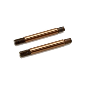 E4RSII steli ammortizzatori (2) E4RSII steli ammortizzatori (2) - 507156