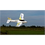 HOBBYZONE Duet RTF, 523mm aereo bimotore RTR2 - HBZ5300