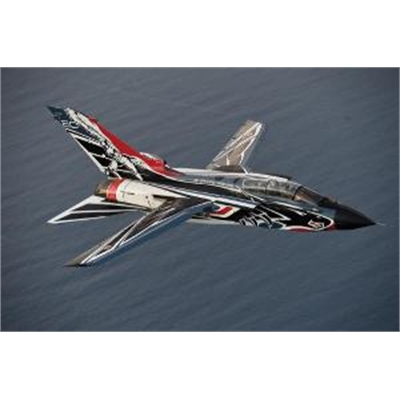 ITALERI 1/48 TORNADO IDS 60?? ANN. 311?? GV RSV SPECIAL COLORS - IT2766