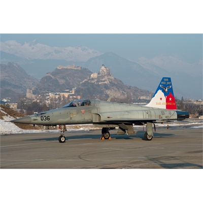 Italeri Aereo F-5E Swiss Air Force 1:72 - IT1420
