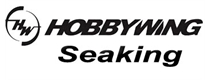 Hobbywing SEAKING